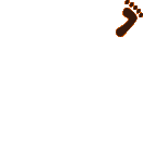 Xokpali - "Huellas" - logo animado